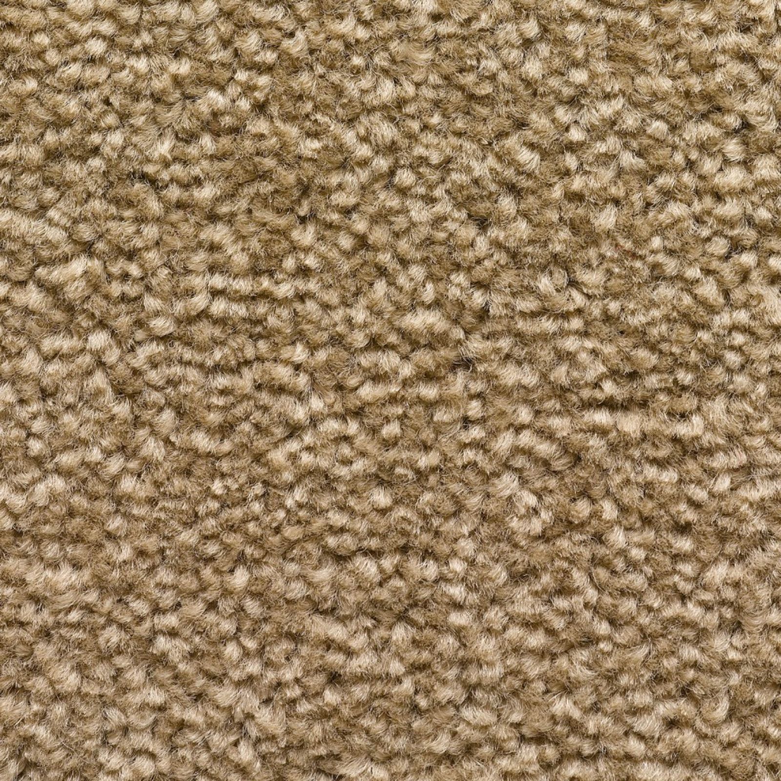 That's My Colour Twist Carpet Tapi Carpets & Floors